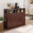 Asier Accent Cabinet-1247458702