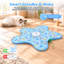 Chat pour chat 3 en 1 cache-cache pour chatons, jeu automatique interactif, plume baguette mobile, housse de 25 po pour tous les chats d'intérieur