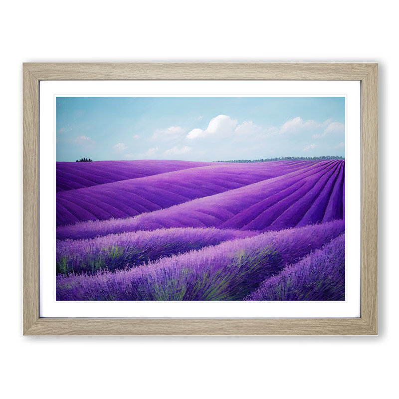 Adventurous Lavender Flower Field - Single Picture Frame Painting, Oak Framed, 34cm H x 46cm W x 2cm D