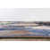 Dichiera Floral Brown/Navy/Cream Non-Slip Rubberback Area Rug