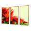 «Red Floral On Green», ensemble d'art mural sur toile encadré traditionnel-1163232545-1163232549