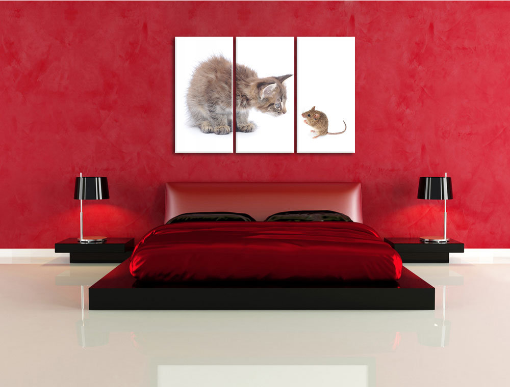 3-tlg. Leinwandbilder-Set Katze und Maus Freunde, Fotodruck