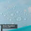 Tropical Beach Coconut Palm Sea Luxury Sky avec 12 crochets-1701732491