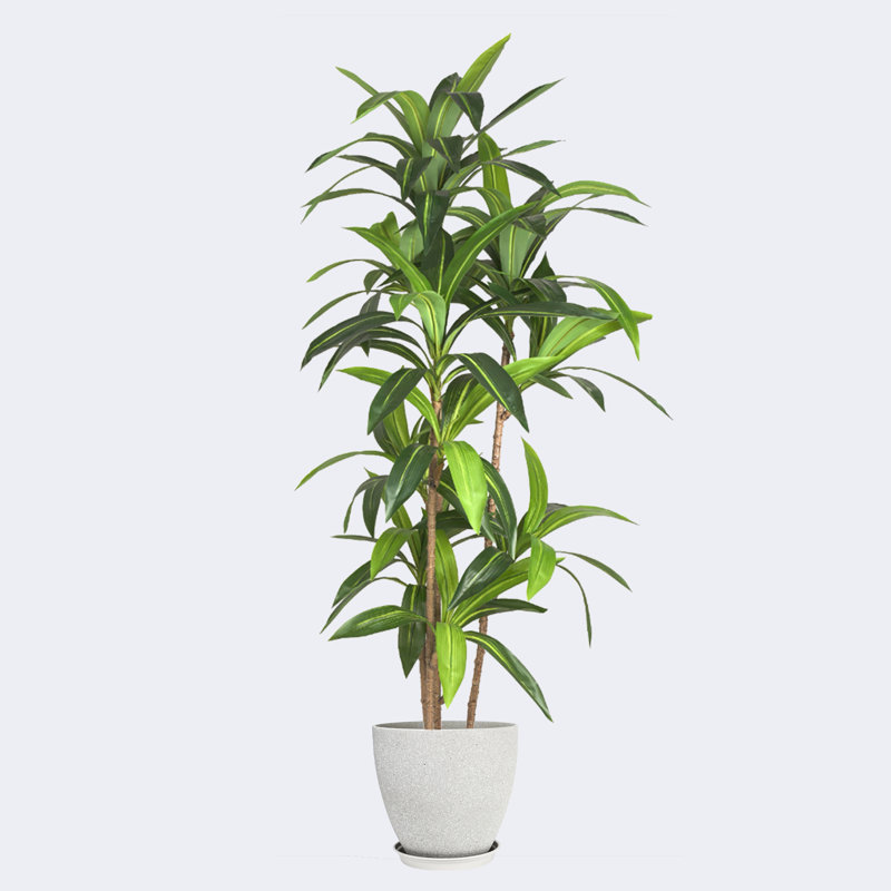 Pots ronds artificiels en résine et arbre Dracaena, Gris clair, H 19,69 po x l 59,06 po x P 19,69 po