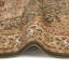 Oriental Area Rug-299487593