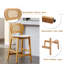 Aliysha Upholstered Counter Stool-1063969368