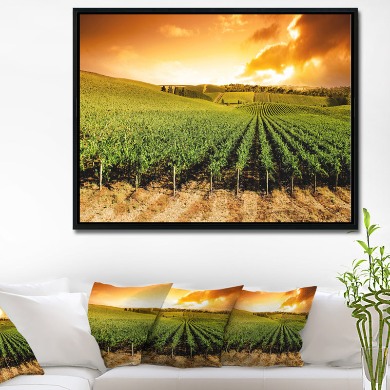 « crépuscule vineyard panorama », reproduction de photo sur toile tendue encadrée, H 30 po x l 40 po x P 1,5 po