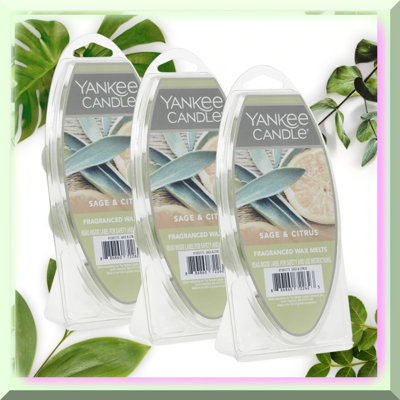 Zesty Sage Citrus Wax Melts 3 Packs 18 Total