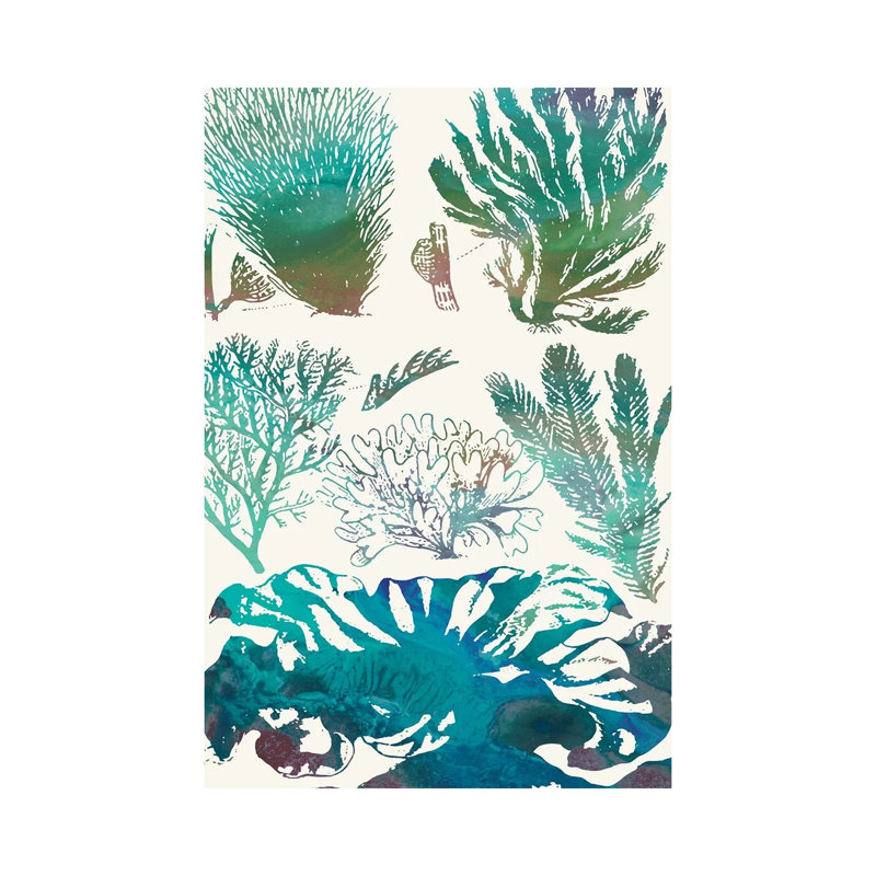 Aquatic Assemblage II by Sharon Chandler - Wrapped Canvas Painting, 66.04 cm H x 45.72 cm W x 1.91 cm D
