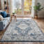 Oriental Area Rug-1607957637