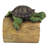 Gutter Guardians Drips the Turtle Downspout Statue