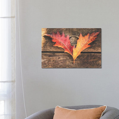 The Colours Of October by Philippe Sainte-Laudy - Wrapped Canvas Print