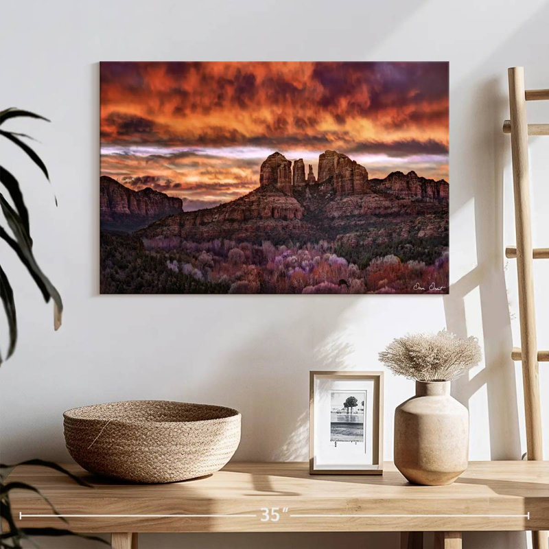 Ravi Pink Morning Glory IV, 16" H x 24" W