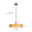 Aivis 1 - Light Pendant Orange Glass-148889166