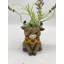 Pot à fleurs 6,6 po Highland Cow