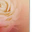 «Valentine Rose» de Vidur, impression sur toile tendue-22072117