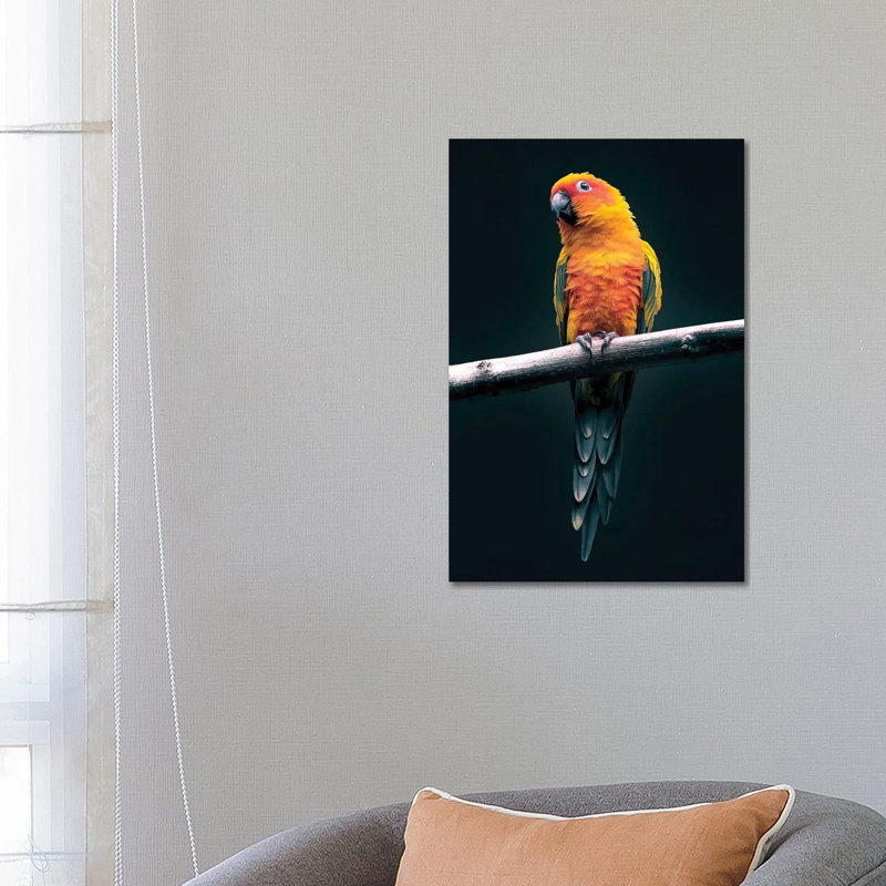 Parrot by Nikita Abakumov - Wrapped Canvas Print