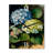 Jazzlin Wall Clock-673914569