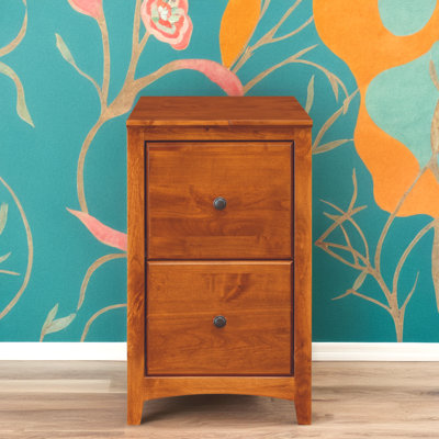 Malani 2-Drawer Vertical Filing Cabinet by Foundry Select