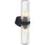 Occasion 2 - Light Plug-in Armed Sconce-1105102969