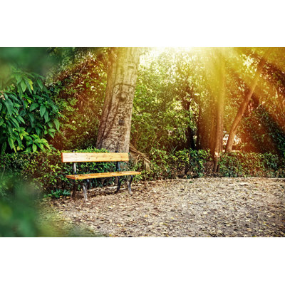 Bench at The Park in Autumn with Warm Sun Rays by Vasiliki