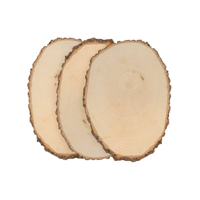 Walnut Hollow Basswood Rounds Large 912 in Wide
