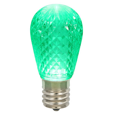 Light Bulbs