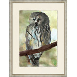 Spring Owl 1 Painting