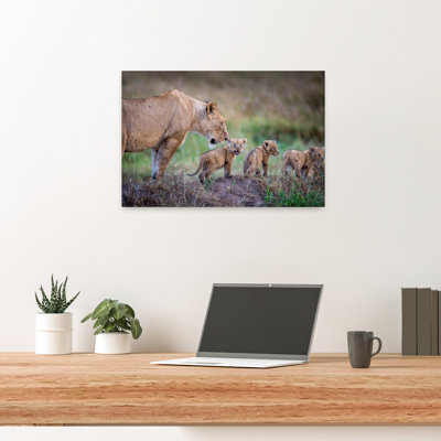 Lioness And Cubs Abstract Contemporary Cat Lion Animal Landscape Wall Art Print
