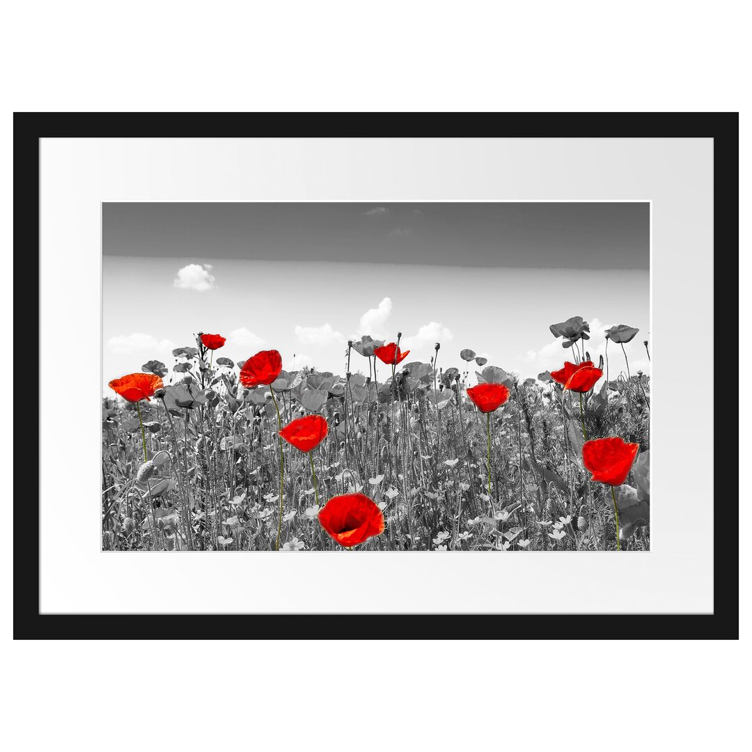 Gerahmtes Poster Schöner Rot Leuchtender Mohn