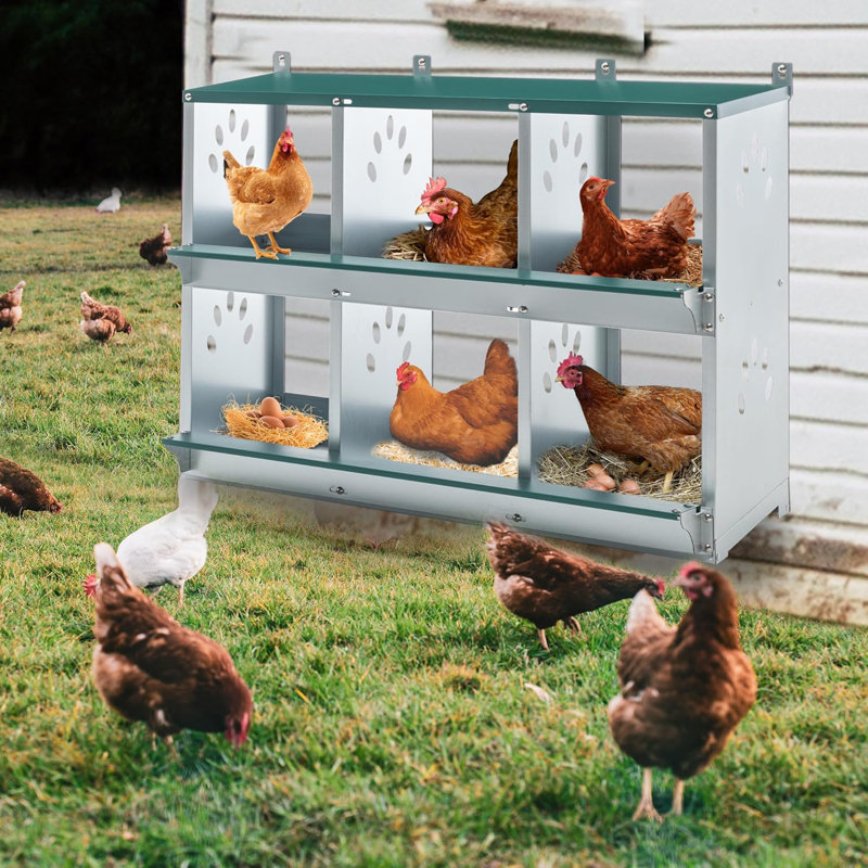 Boîte à œufs de poule en métal, 6 boîtes gigognes