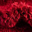  Tapis rouge-288502688