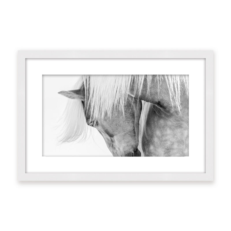 Nature Inspired Halflinger Portrait by  - Picture Frame Photograph on Paper, Black, Framed Canvas, 16" H x 24" W x 2.375" D