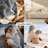 Bedsure Soft Indoor Dog Blanket for Large Dogs & Cats, Reversible Sherpa Fleece Waterproof Washable Throw, Couch Protection-121004989-121004998