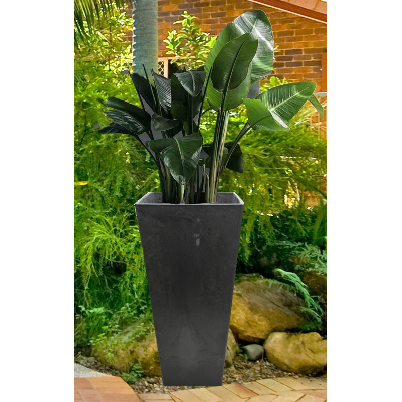 Boîte à fleurs en plastique, Noir, H 24 po x l 14 po x P 14 po