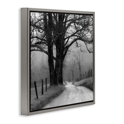 Lonely Path Toward Trees Framed Floater Canvas Wall Art by Nicholas Bell