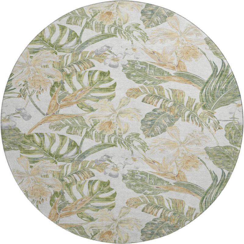 Premium Machine Washable Varroville AMF1708 Floral Rug, Round 8'