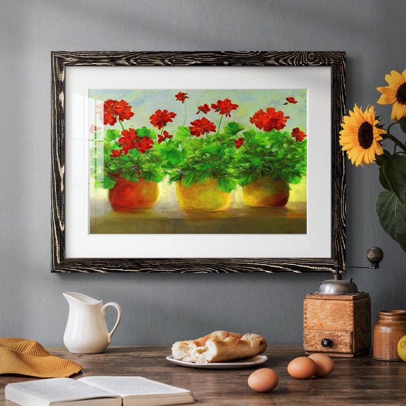 Geraniums III, reproduction d'art encadrée, Noir, H 18 po x l 26 po x P 1,5 po