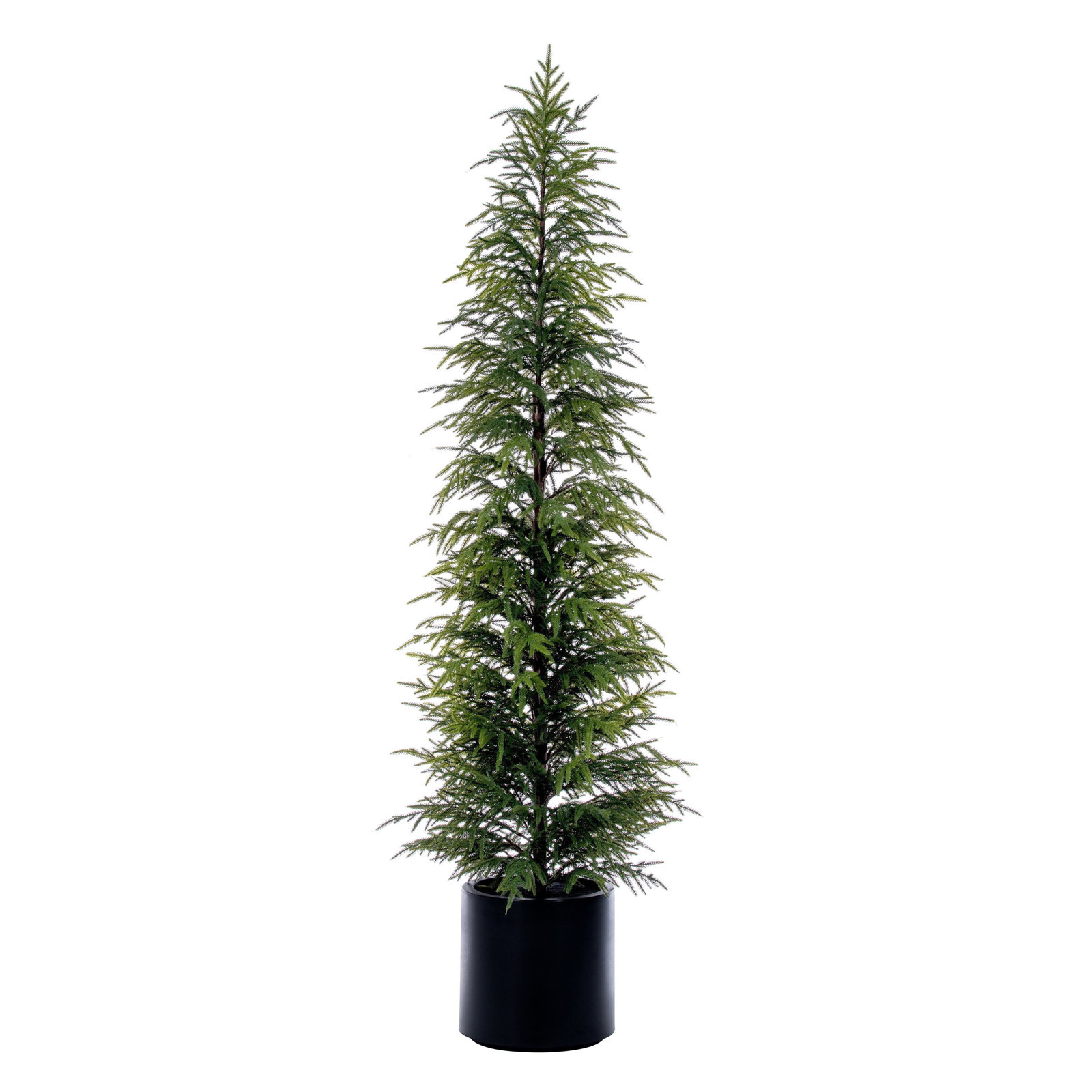 Pine Christmas Tree, 7