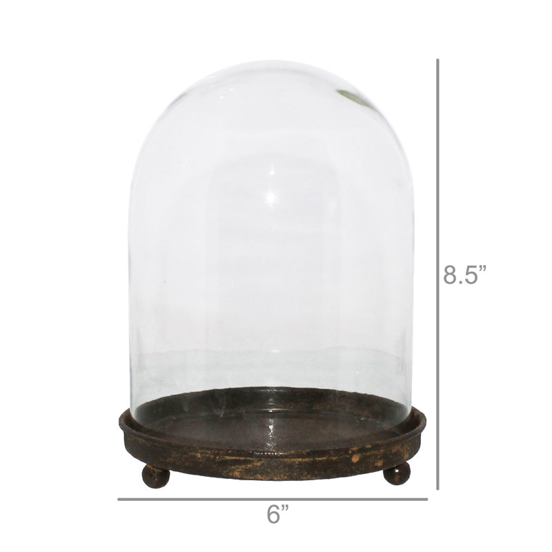 Kenilworth Cloche Vitrine