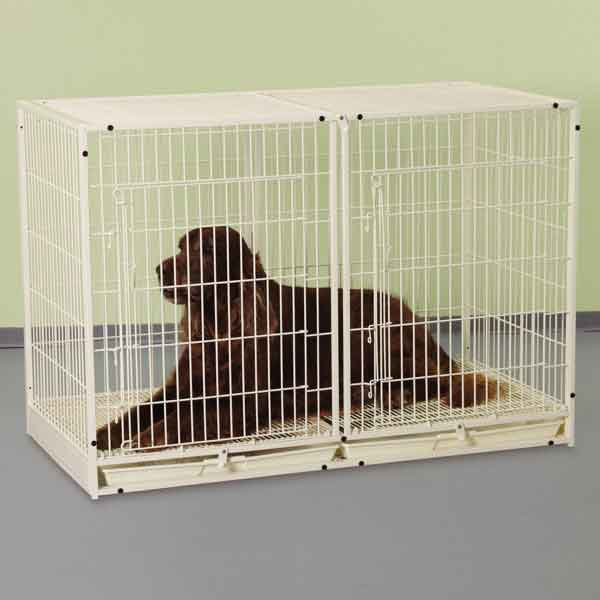 Rothermel Steel Pet Crate with 2 Doors, 32.5" H x 23.63" W x 47.5" D