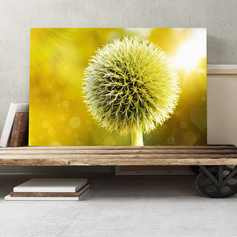 Wrapped Canvas Print, 50cm H x 76cm W