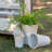 Pot Planter-336157390