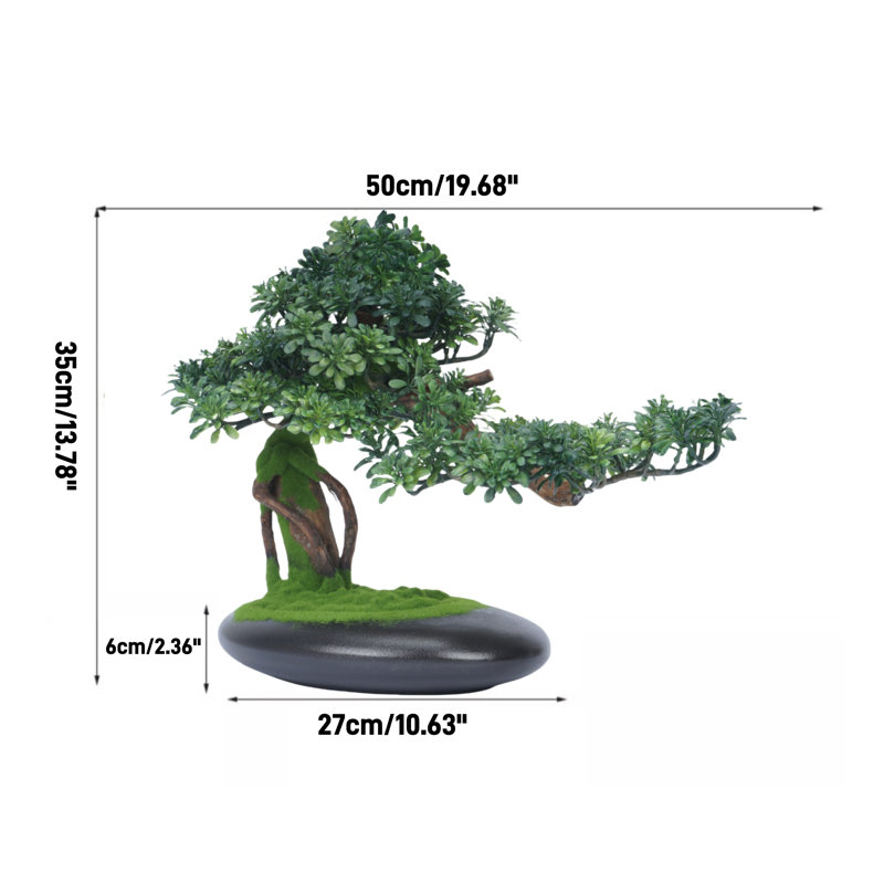 Plante de bonsaï 13,78 po