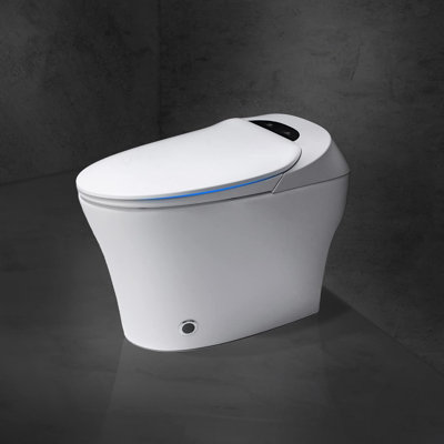 LEPUDAY 1.28 Gallons GPF Elongated Floor Mounted Bidet Toilet (Seat Included)