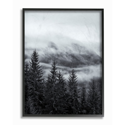 " Snowy Mountain Pine " by Third And Wall