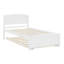 Lit plate-forme avec lit gigogne-359531896