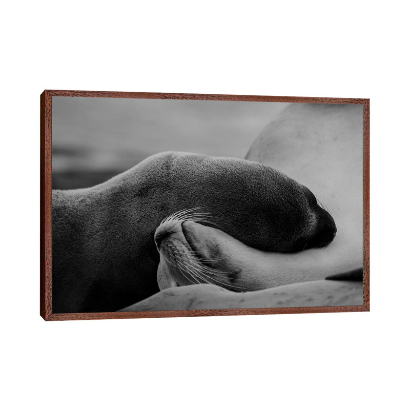 Sleeping Beauty by KrysTom - Print on Canvas, Classic Brown Wood Framed, 45.72cm H x 66.04cm W x 3.81cm D