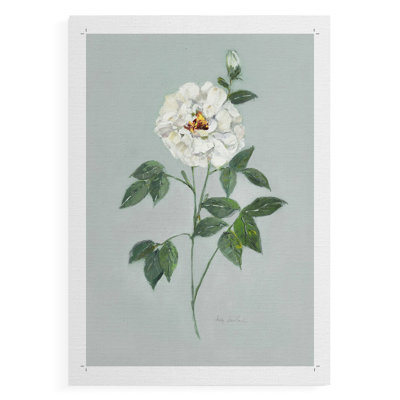 Rose Beauty II -Canvas Print Only - NOT FRAMED