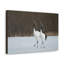 No Frame Print on Canvas